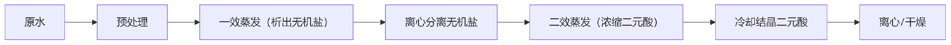 6T/h二元酸廢水蒸發結晶設備