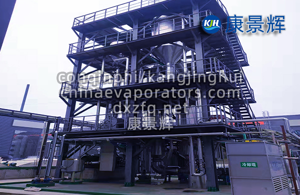 19t/h氯化鈉雙效MVR蒸發(fā)器